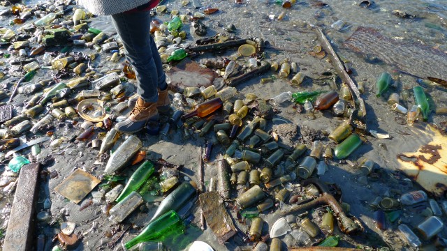 Dead Horse Bay